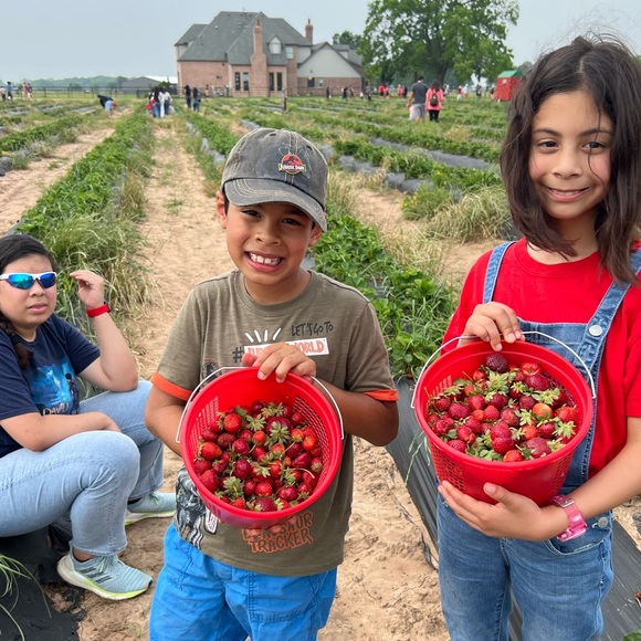 Meet your Posher, Deborah - Picture 3 of 4